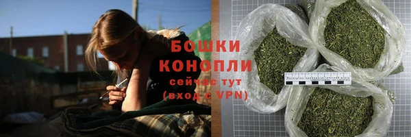 стаф Богородицк