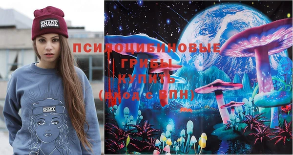 ПСИЛОЦИБИНОВЫЕ ГРИБЫ Богородск