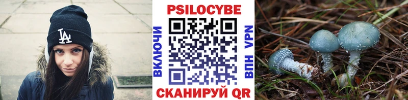 Галлюциногенные грибы Psilocybine cubensis  Боготол 